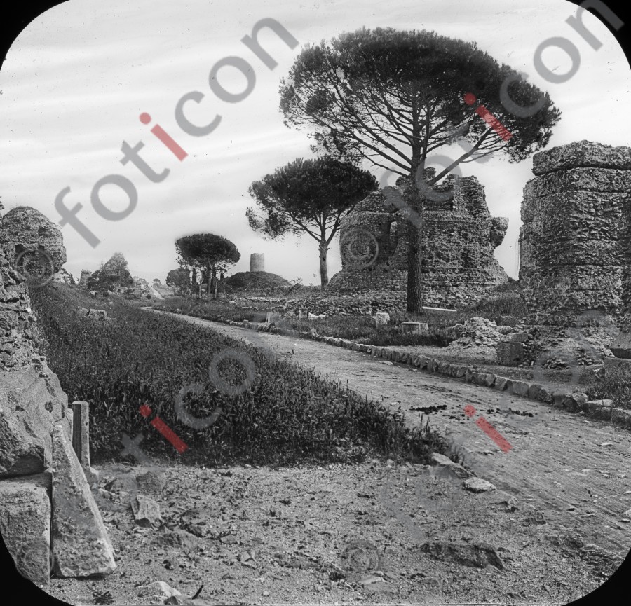 Via Appia - Foto foticon-simon-033-055-sw.jpg | foticon.de - Bilddatenbank für Motive aus Geschichte und Kultur